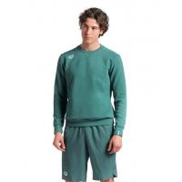 Кофта мужская ARENA CREW SWEAT