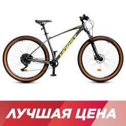 HORST Kinetic 29 2024
